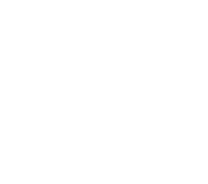 Icono 40 Años